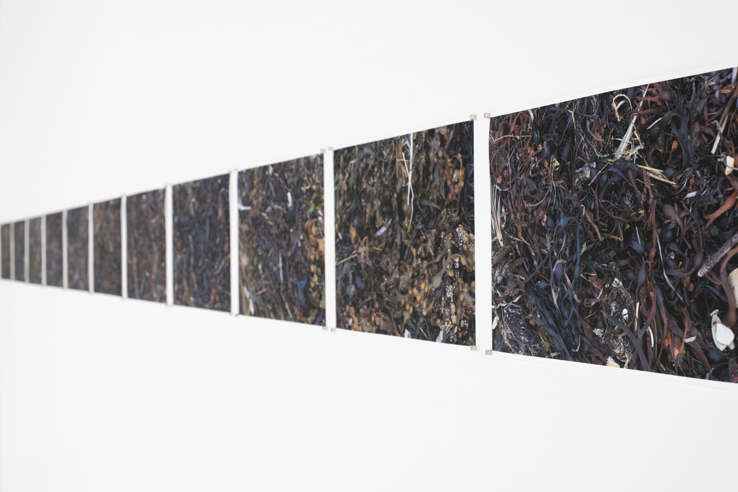 expanded photography